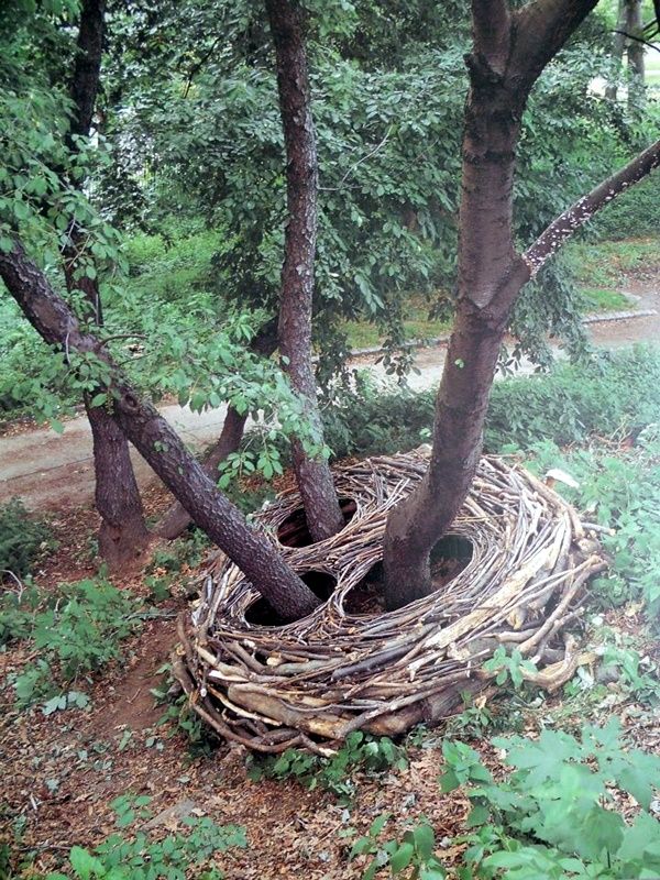 a bird's nest made out of branches in the woods