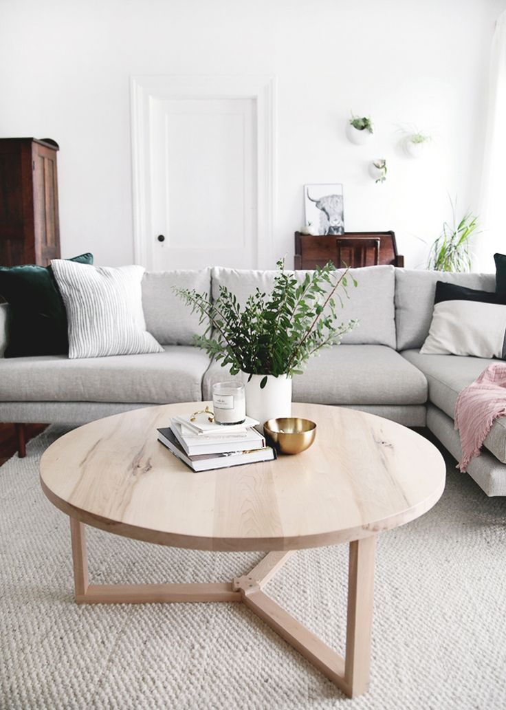 a living room with a couch, coffee table and potted plant