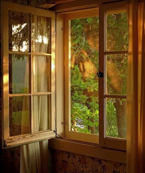 an open window with curtains in front of it and trees out the window behind them