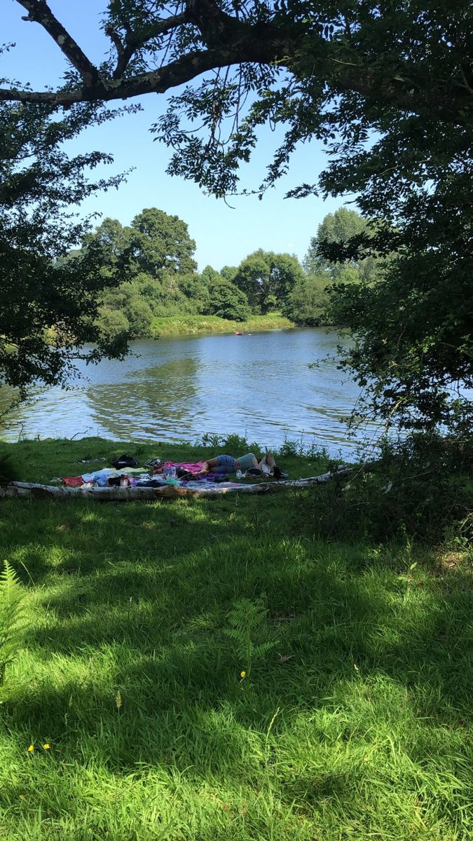 there are many boats on the grass by the water