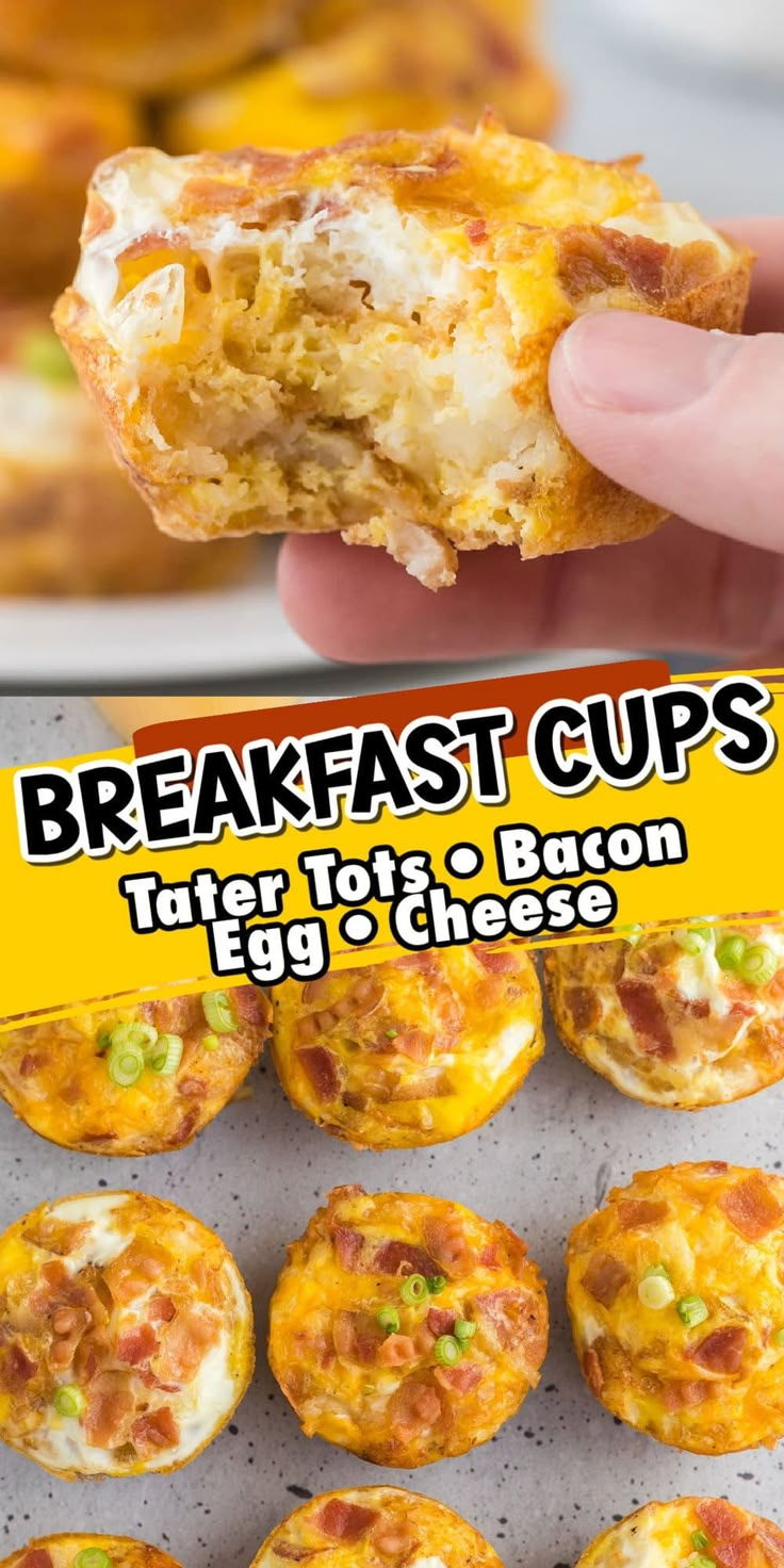 breakfast cups with tater tot and bacon egg & cheese in the middle are shown