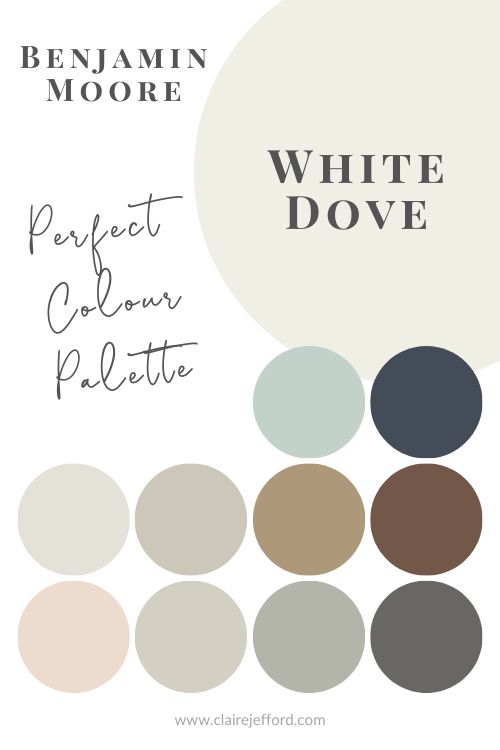 the color palette for benjamin moore's palladian blue