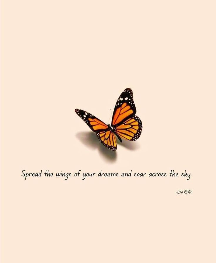 a butterfly with the quote spread the wings of your dreams and across the sky