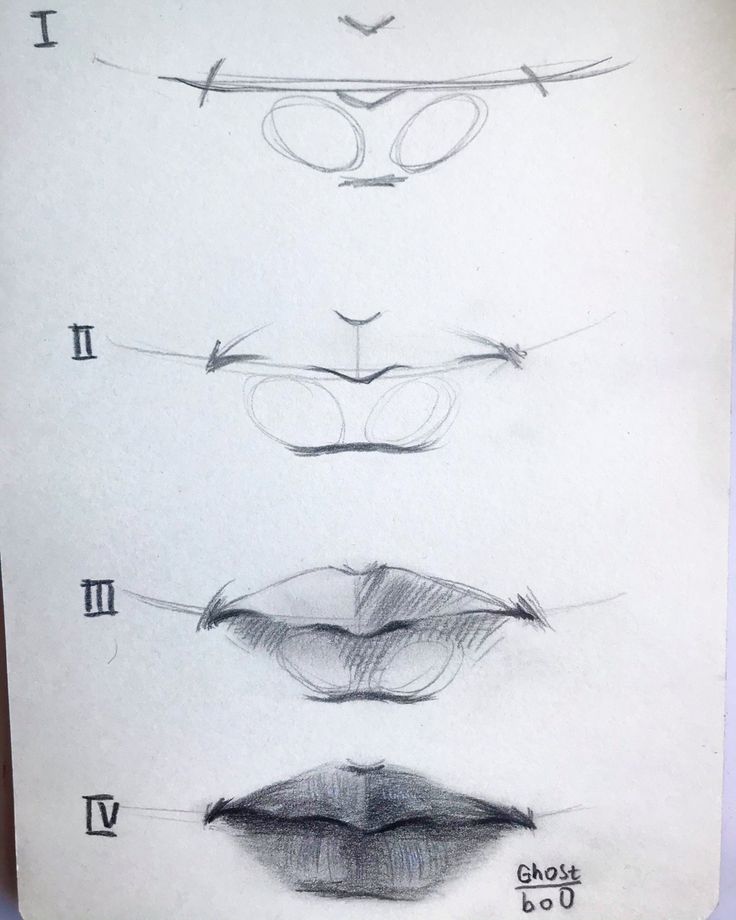 four different types of glasses are shown in this drawing technique, and each one is drawn by hand