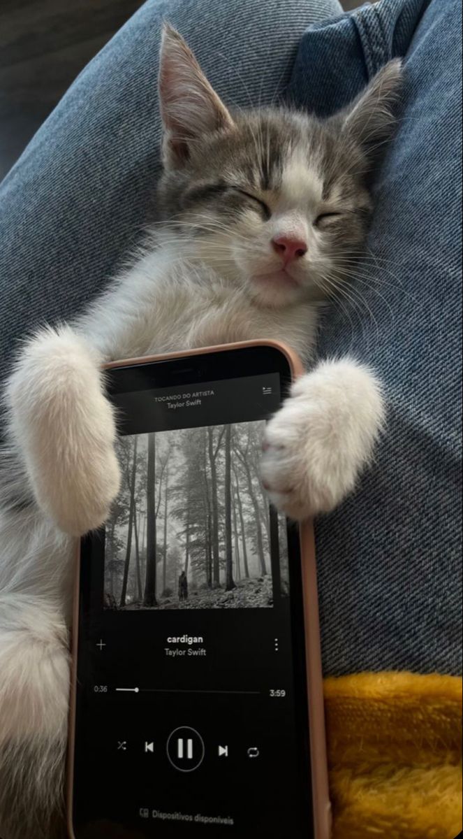 a cat is sleeping on someone's lap while holding an mp3 player