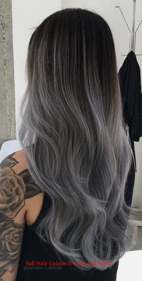 Gray Hair Wigs For African American Women Monofilament Wigs Smokey Gra - Wigsking Silver Ombre Hair, Ombre Hair Color Ideas, Grey Ombre Hair, Brown Ombre Hair, Ash Hair Color, Silver Ombre, Silver Hair Color, Hair Color For Women, Ombre Hair Color