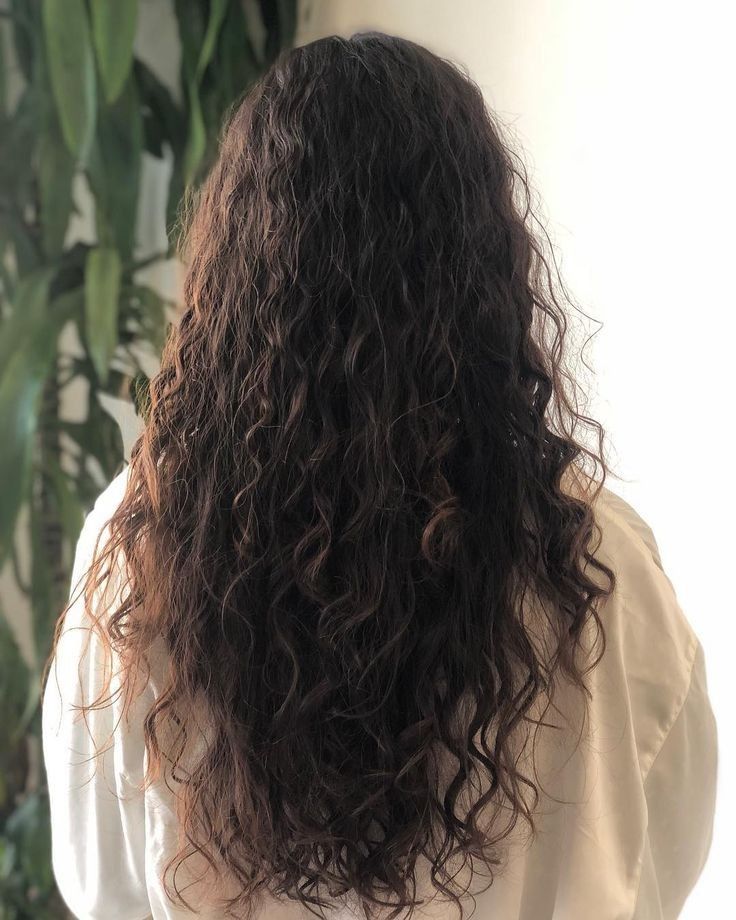 the back of a woman's head with long, curly hair in front of a plant