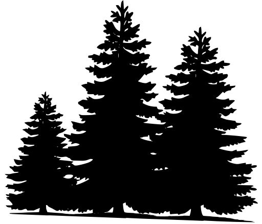 three pine trees silhouetted against a white background