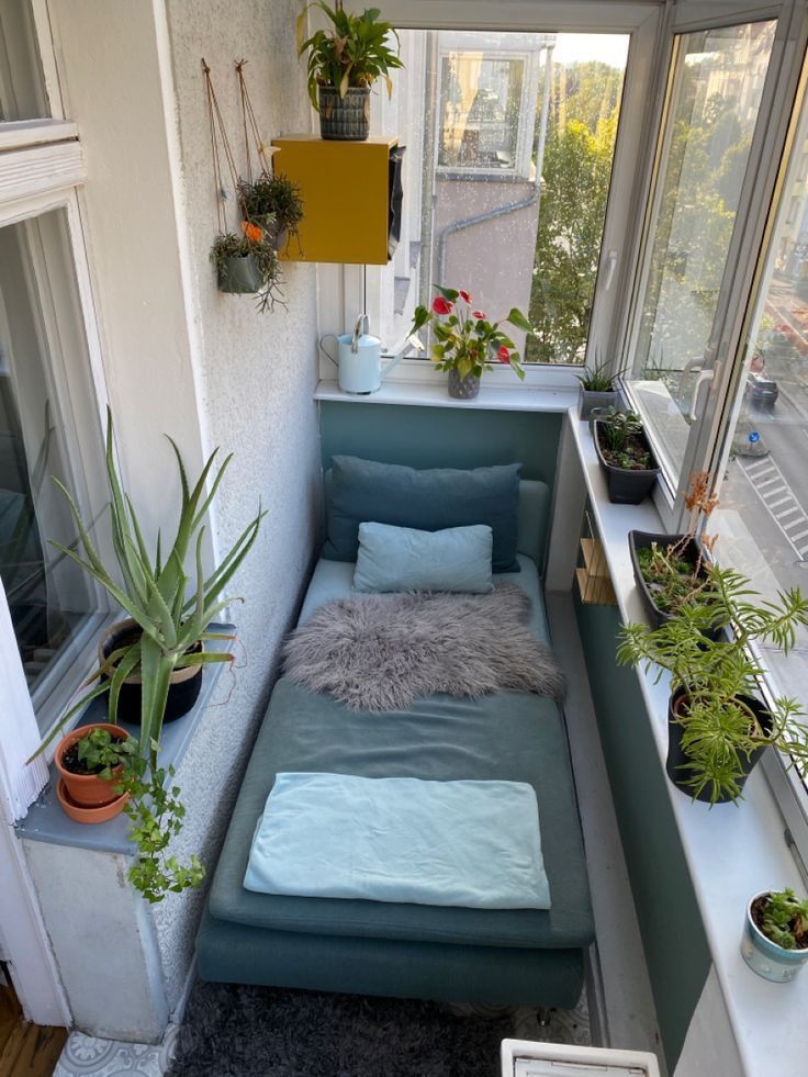 a small room with plants on the windowsill and a couch in front of it