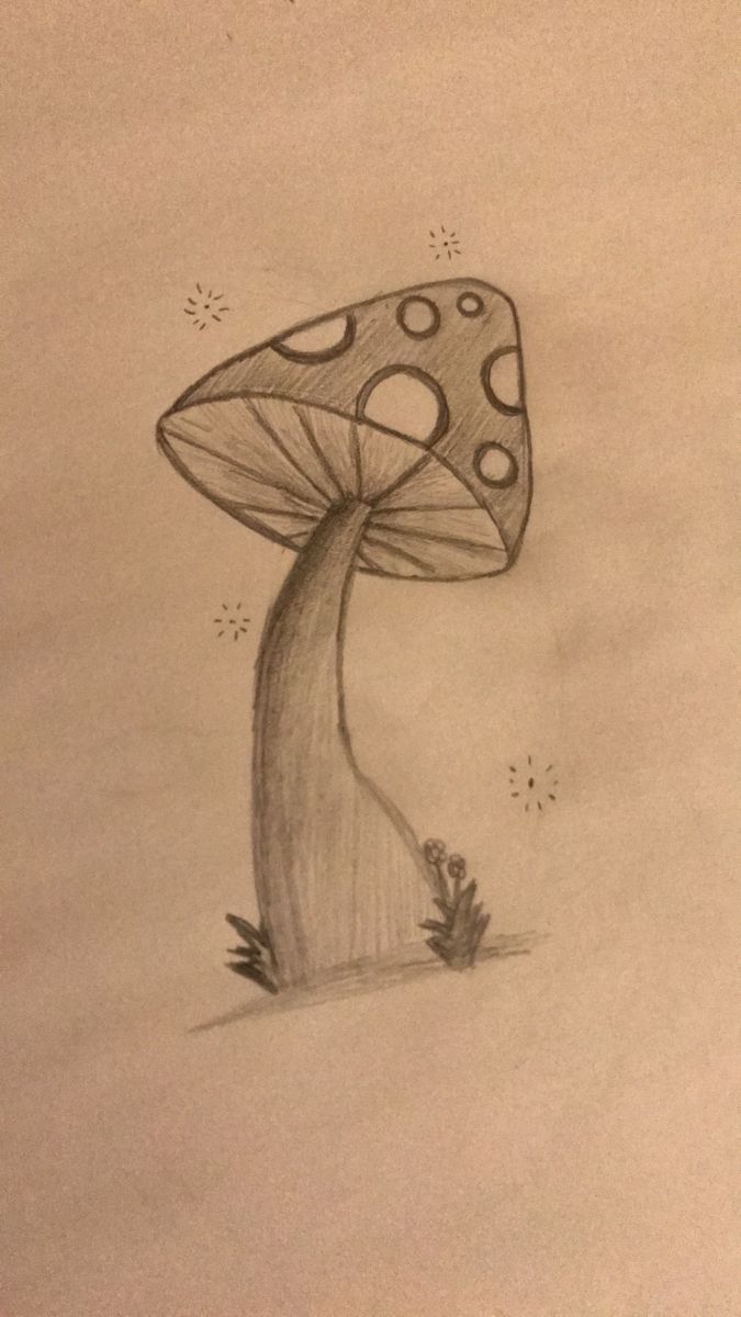 a pencil drawing of a mushroom sitting on the ground