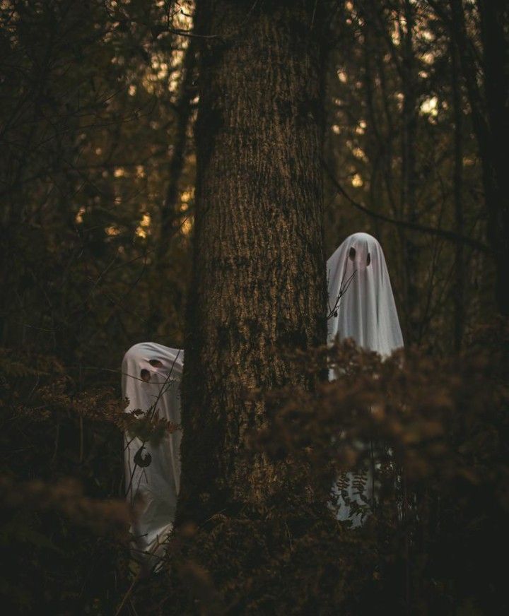 two ghostly people standing in the woods with their heads covered by white cloths,