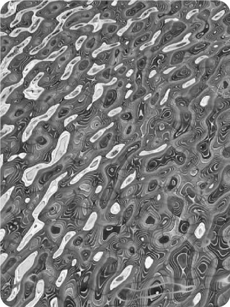 black and white photograph of water droplets on the surface, looking like an abstract pattern