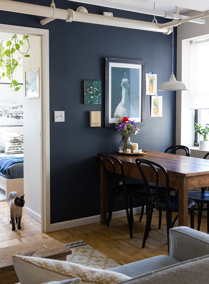 an image of a living room with blue walls and white trim on the walls, while a cat is standing in front of the table