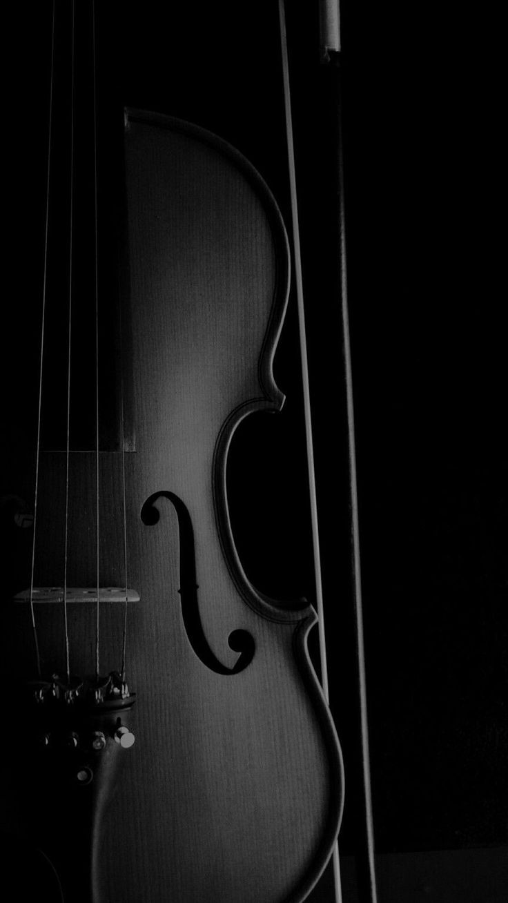 a black and white photo of a violin with its strings still attached to the wall