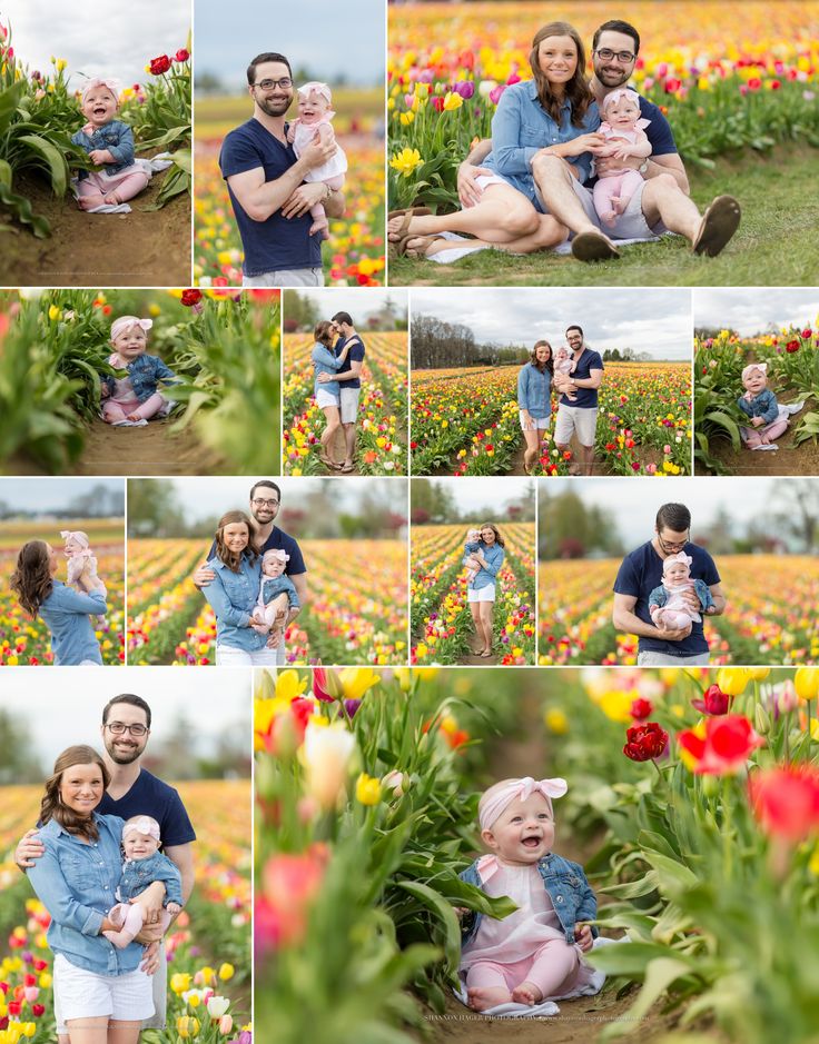 a collage of photos showing people and their babies in a field with tulips