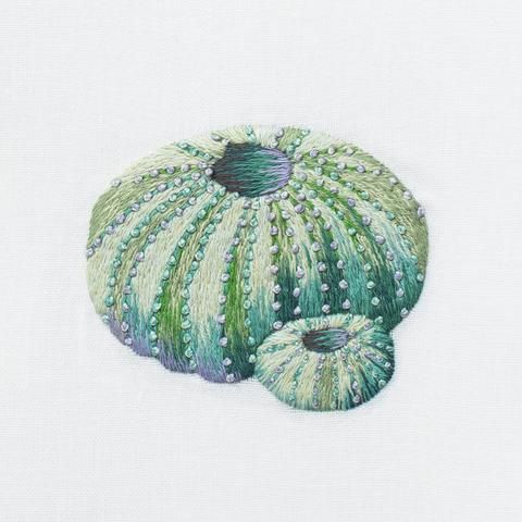 two green sea urchins on white linen