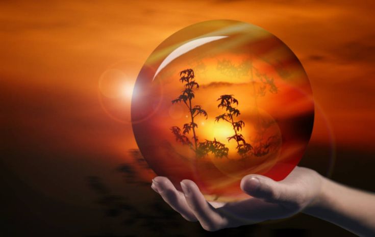 a person holding up a glass ball with palm trees on it in front of an orange sky