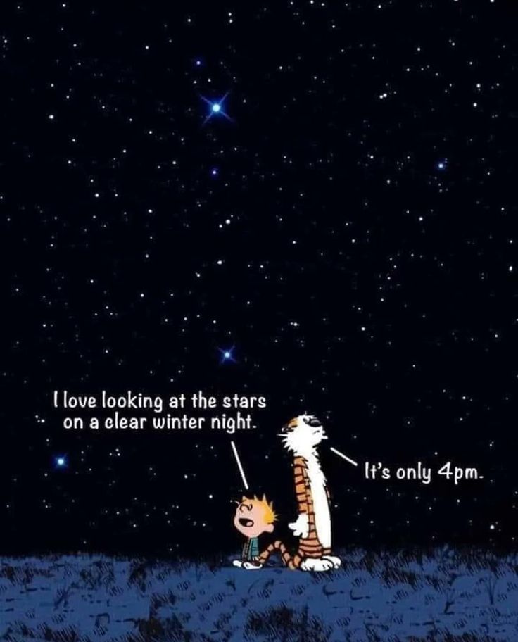 the cat in the hat is looking at the stars on a clear winter night it's only 4pm i love looking at the stars on a clear winter night