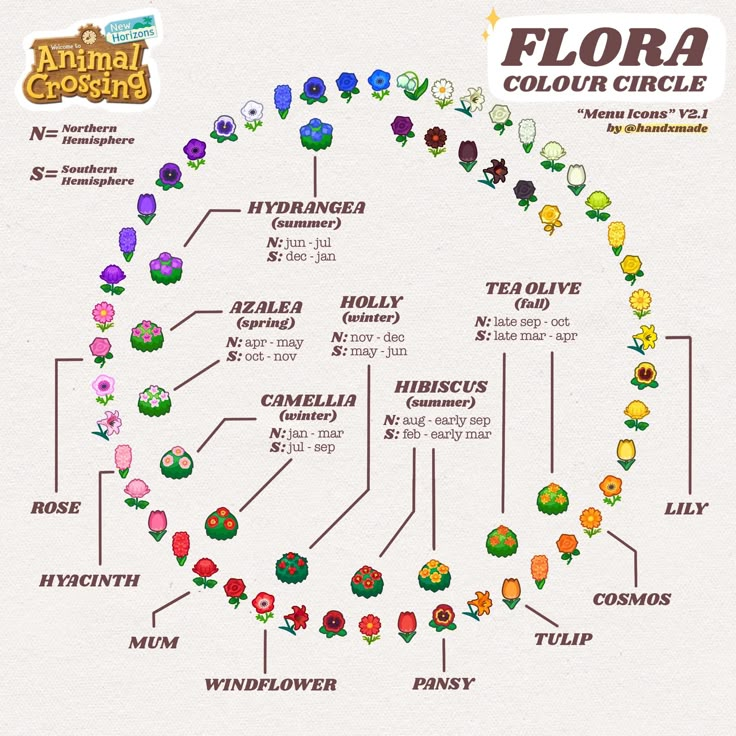 an image of a flower circle with many different flowers and plants around it, including the names