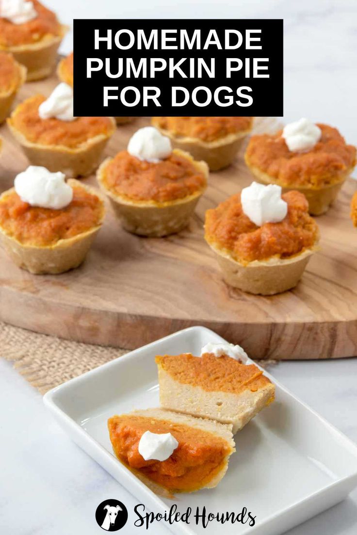 homemade pumpkin pies for dogs on a white plate with the title overlay reads homemade pumpkin pies for dogs