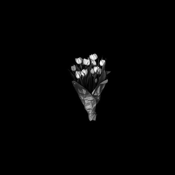 a bouquet of white tulips on a black background