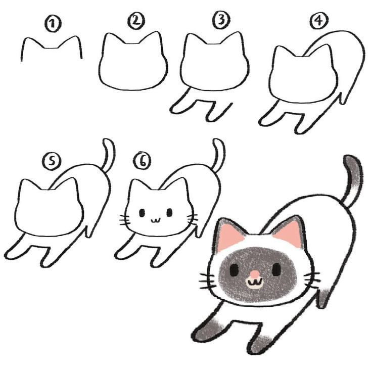 how to draw a cartoon cat step by step drawing instructions for kids and beginners