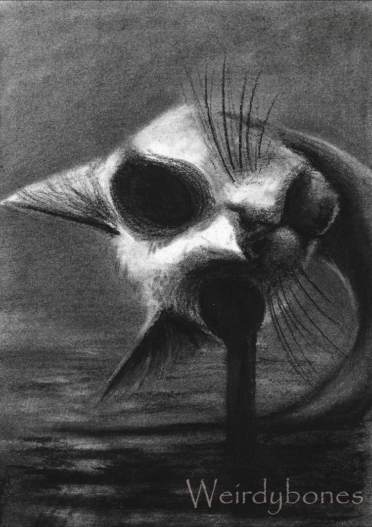 a black and white drawing of a cat's head with the word weirdbones on it