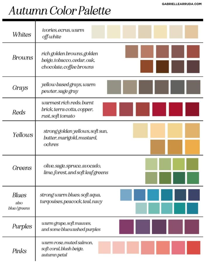 the color palette for autumn and fall