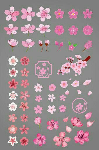 pink flowers and leaves on a gray background