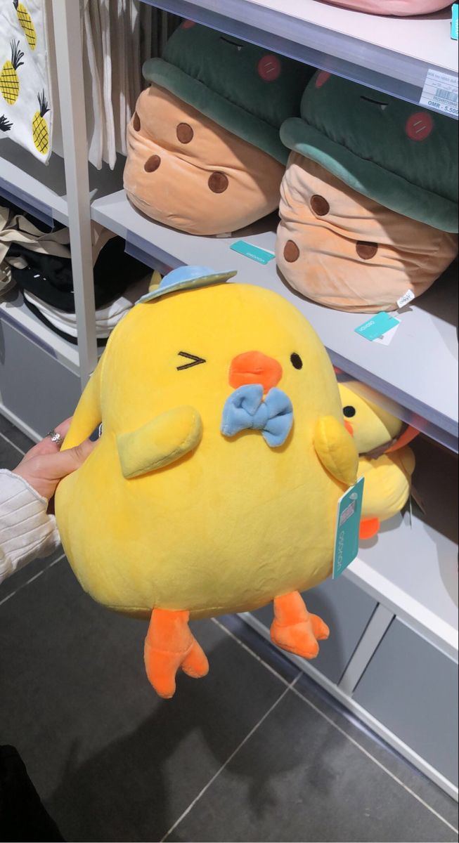 a person holding a stuffed toy in front of shelves