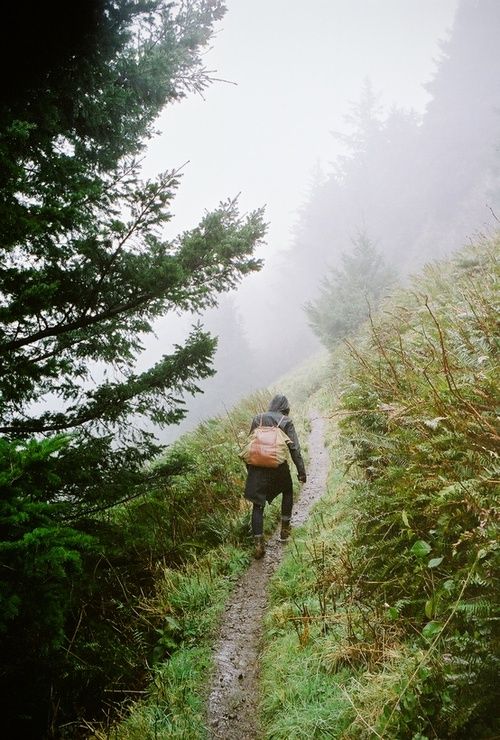 a person with a backpack walking up a trail in the woods on a foggy day