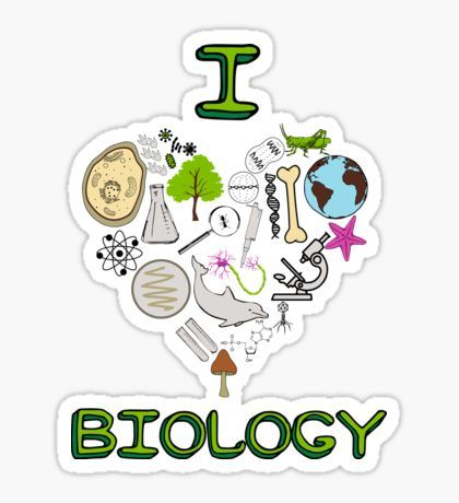 i love biology sticker is shown in green and white with the words i on it