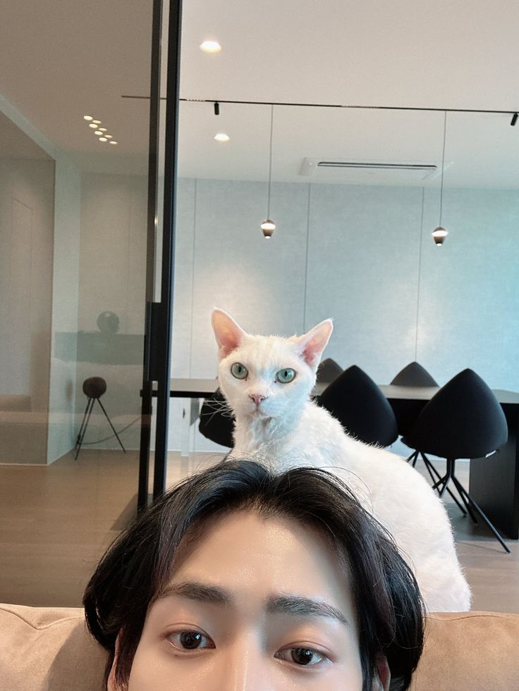 a man sitting on top of a cat that is perched on his head in front of him