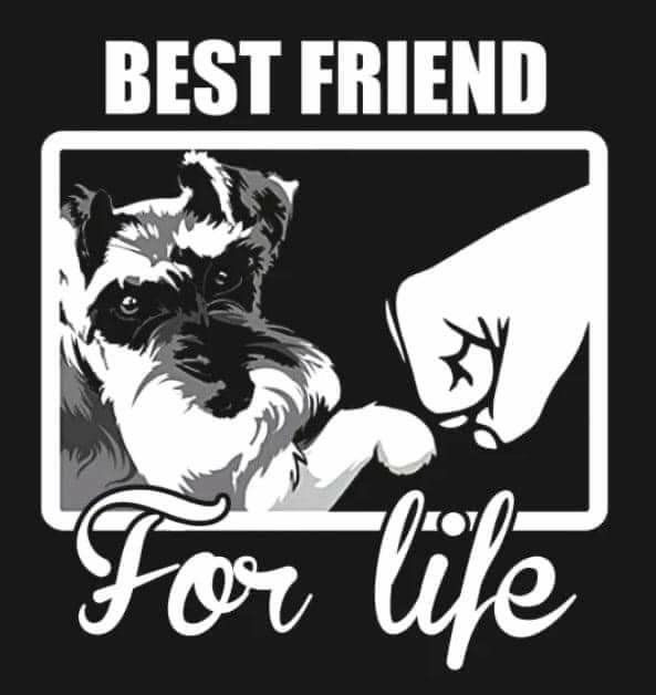 a black and white photo of a dog with the words best friend for life on it