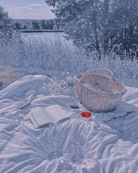 an open book and wine glass on a blanket