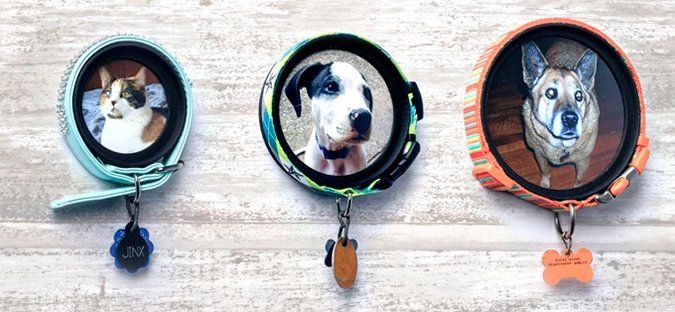 three dogs are shown in small oval pictures on leashes with tags attached to them