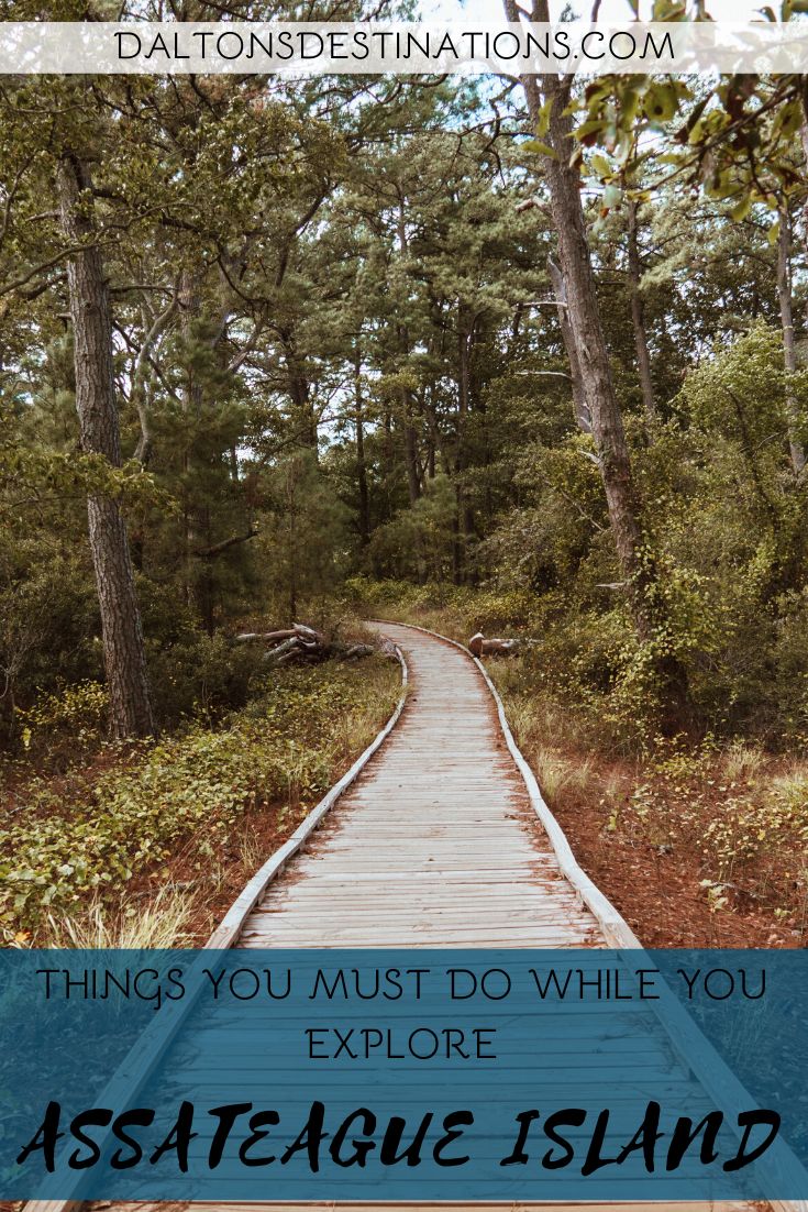 a wooden path leading through the woods with text overlay that says things you must do while