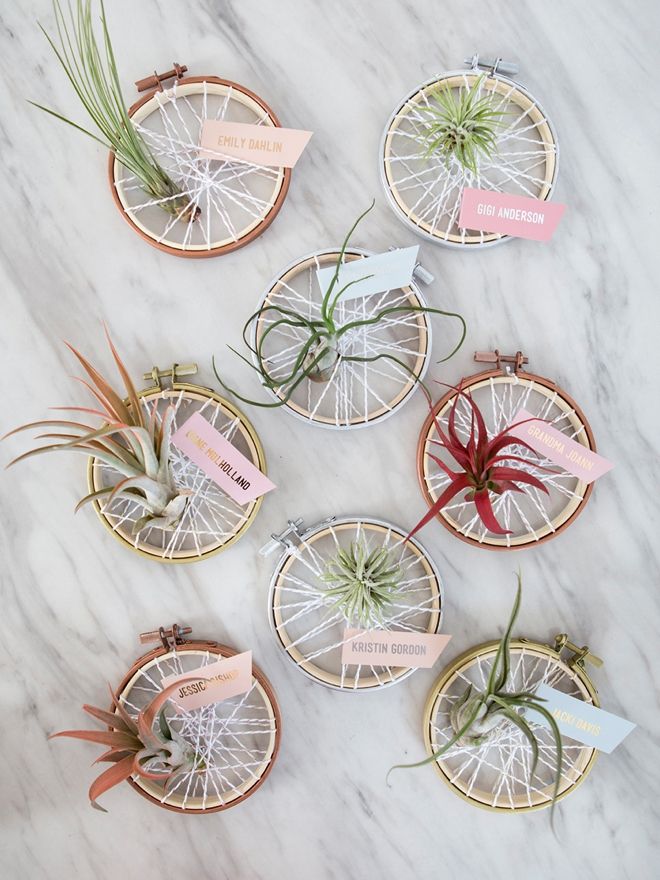 small air plants in baskets with tags on them