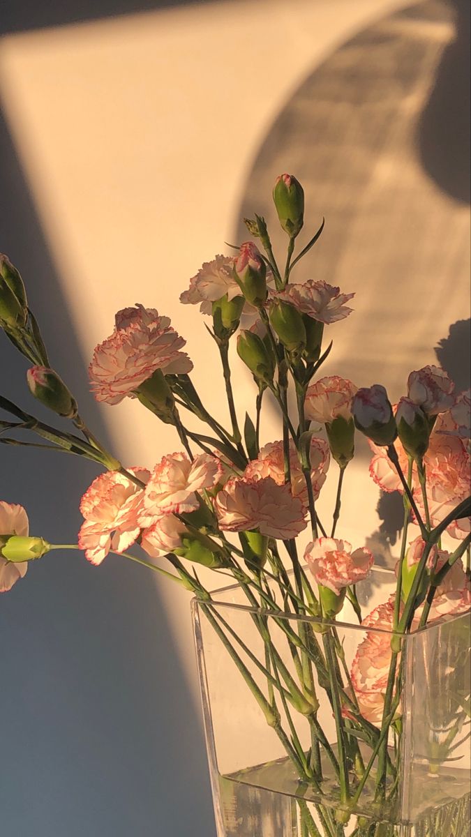 a vase filled with pink flowers on top of a table