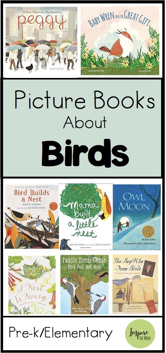 children's picture books about birds with text overlay that says picture books about birds