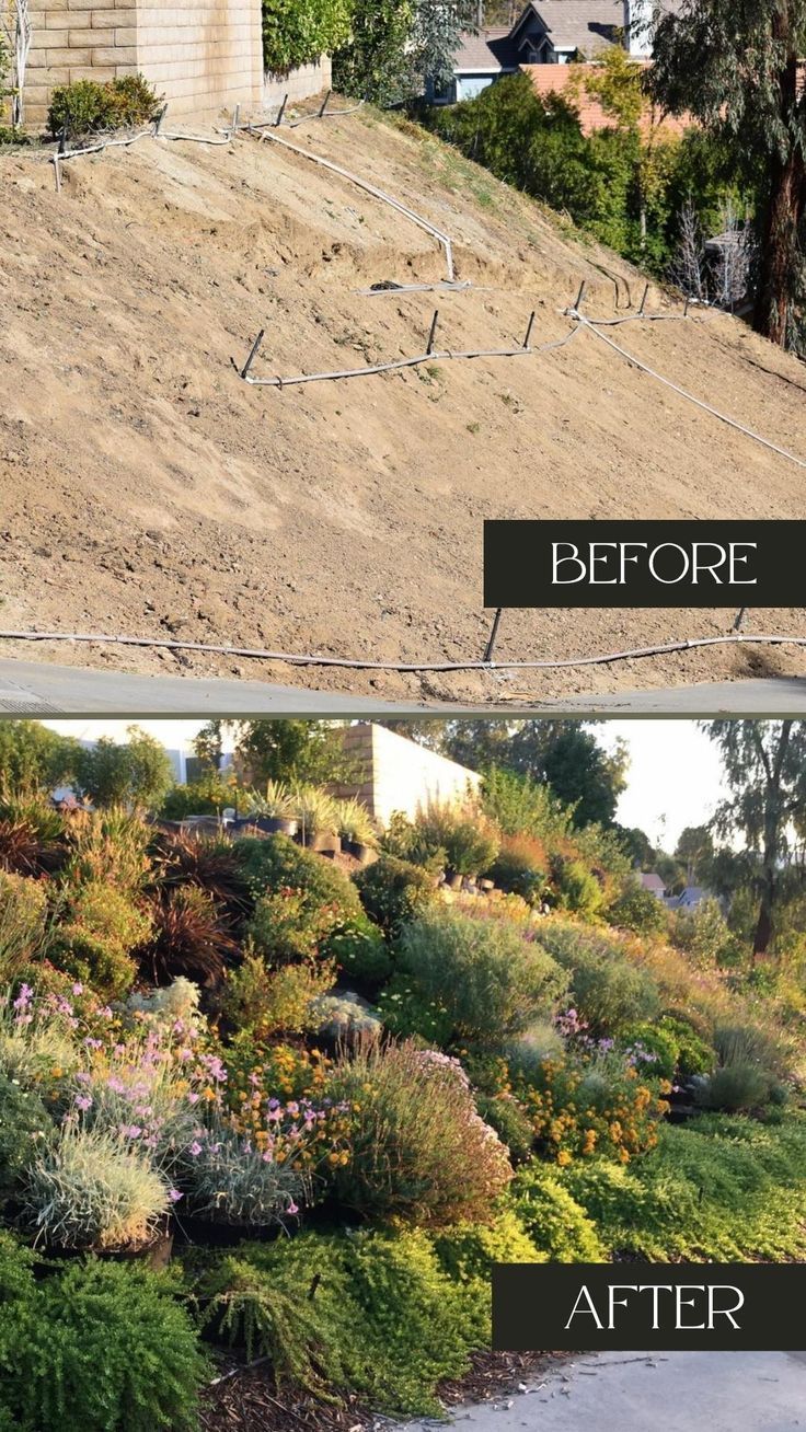 before and after photos of a hillside garden