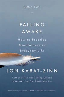 the book cover for falling awake how to practice mindfulness in everyday life by jon kabat - zinn