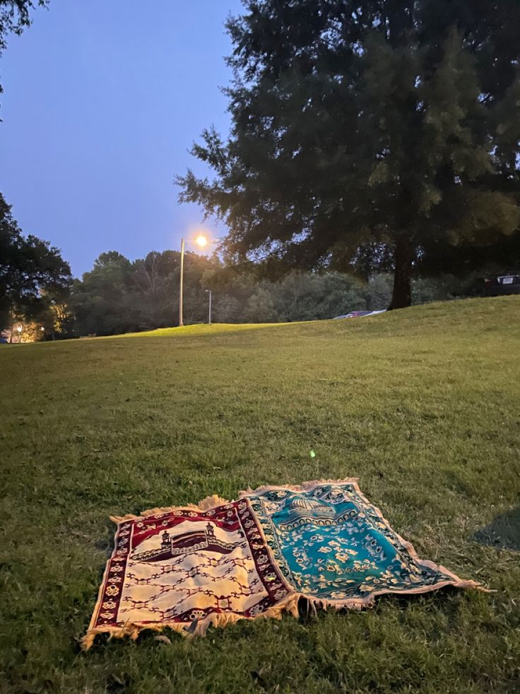 two rugs laying on the grass in front of a street light at night time