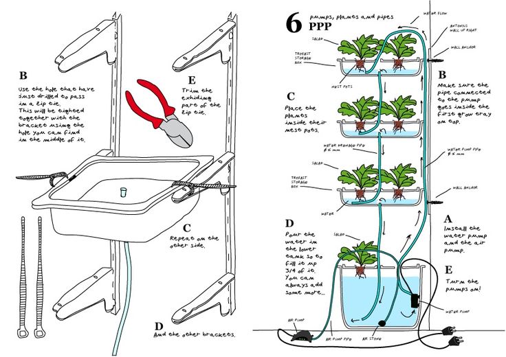 an image of a planter with water and plants growing from the top to bottom