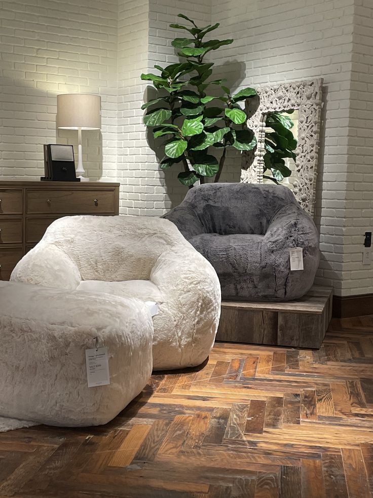 two bean bags sitting on top of a wooden floor next to a potted plant