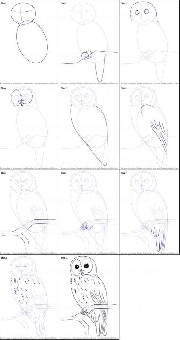 how to draw an owl step by step