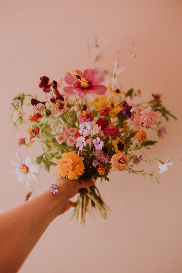 a hand holding a bouquet of flowers against a pink wall with white and orange daisies