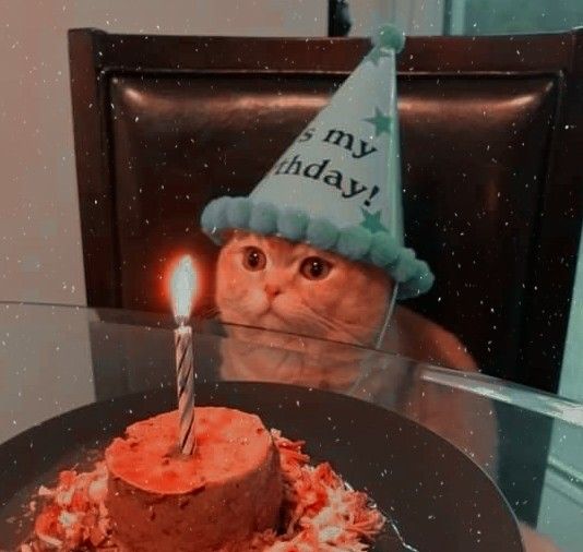 a cat wearing a birthday hat sitting in front of a cake with a lit candle