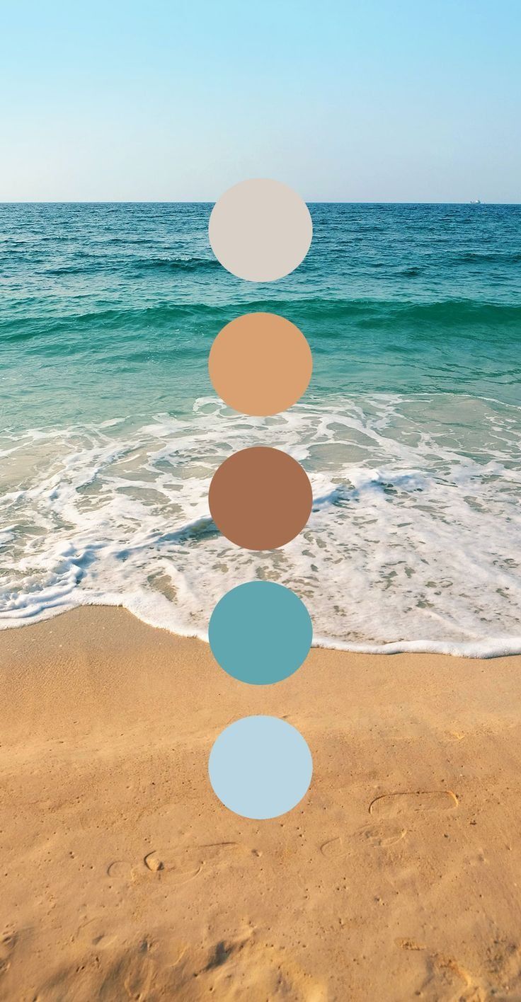 an image of a beach scene with circles in the sand