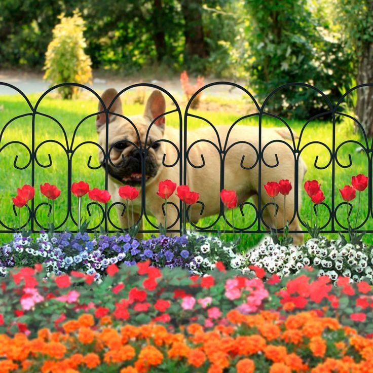 a pug dog sitting in the middle of flowers behind a fence with it's tongue hanging out